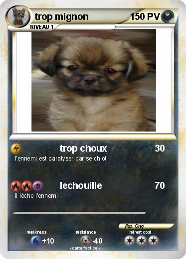 Pokemon trop mignon