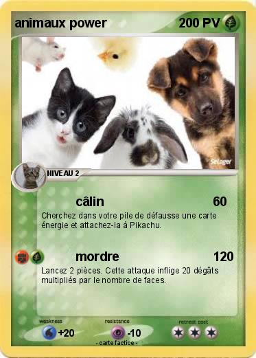 Pokemon animaux power