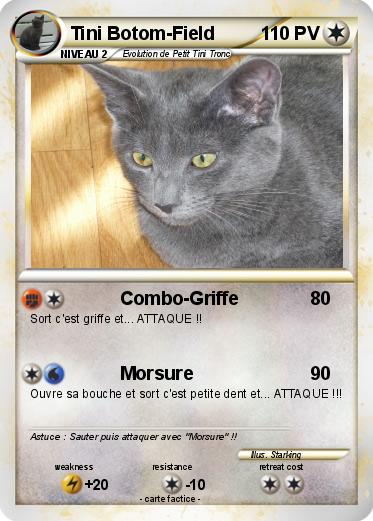 Pokemon Tini Botom-Field