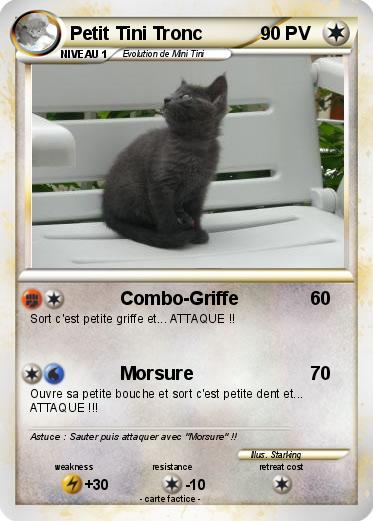 Pokemon Petit Tini Tronc