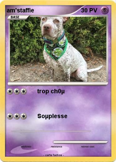 Pokemon am'staffie
