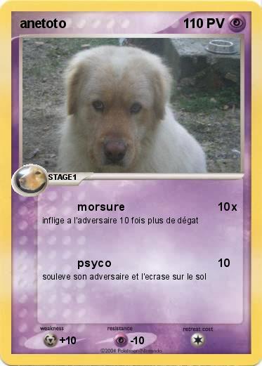 Pokemon anetoto