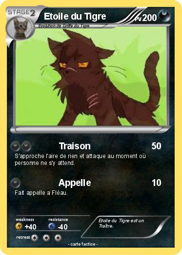Pokemon Etoile du Tigre