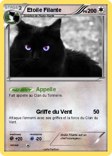 Pokemon Etoile Filante