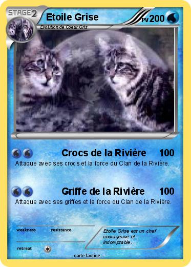 Pokemon Etoile Grise