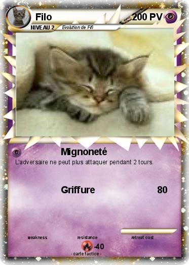 Pokemon Filo