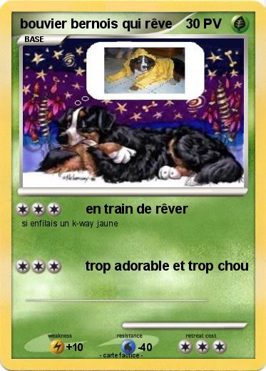 Pokemon bouvier bernois qui rêve
