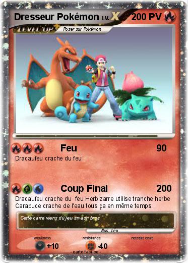 Pokemon Dresseur Pokémon