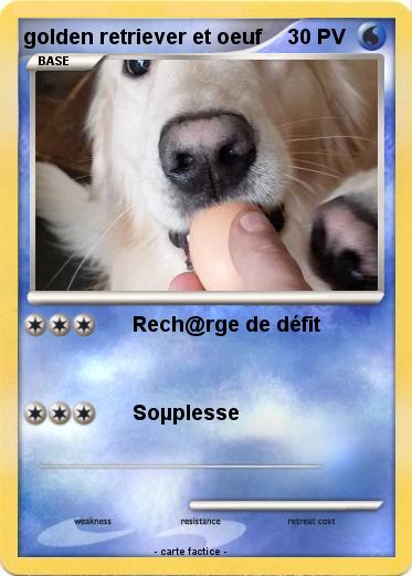 Pokemon golden retriever et oeuf