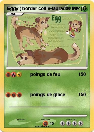 Pokemon Eggy ( border collie-labrador mix )