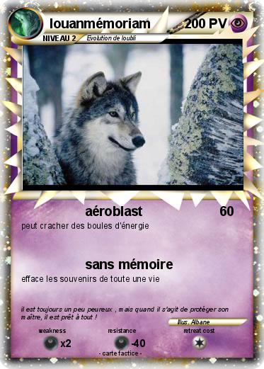 Pokemon louanmémoriam