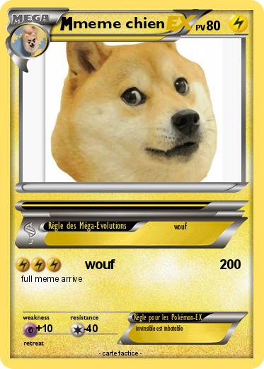 Pokemon meme chien