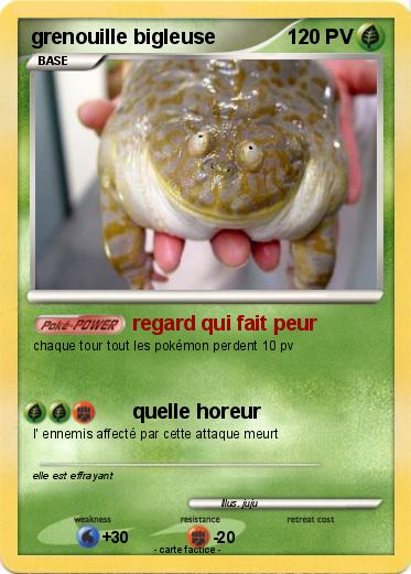 Pokemon grenouille bigleuse