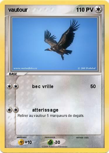 Pokemon vautour