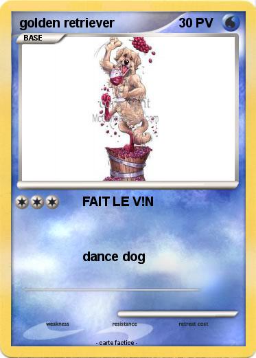 Pokemon golden retriever