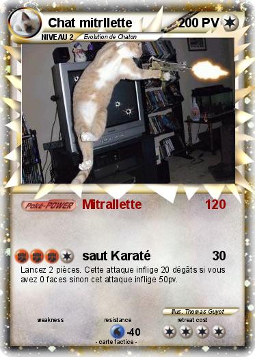 Pokemon Chat mitrllette