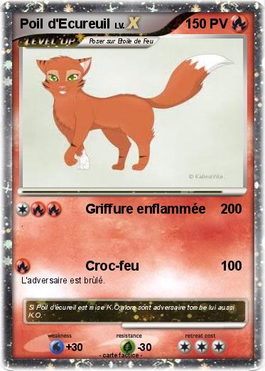 Pokemon Poil d'Ecureuil