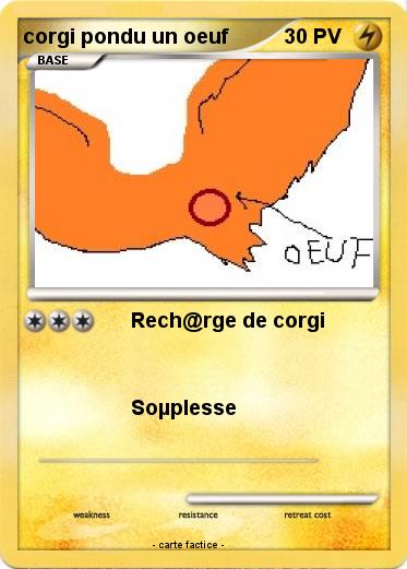 Pokemon corgi pondu un oeuf