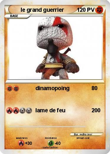 Pokemon le grand guerrier