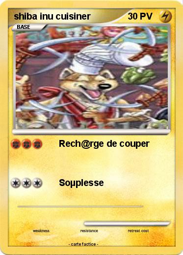 Pokemon shiba inu cuisiner