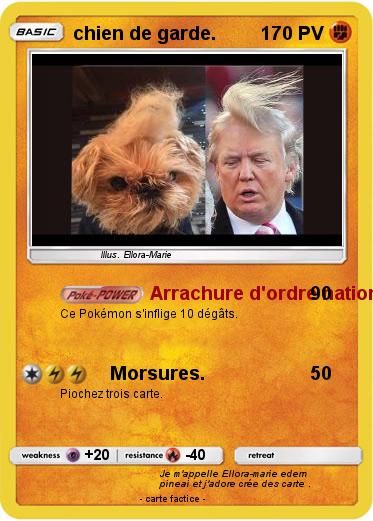 Pokemon chien de garde.