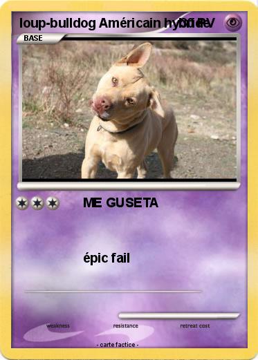 Pokemon loup-bulldog Américain hybride