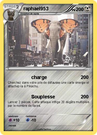 Pokemon raphael953