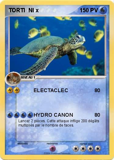 Pokemon TORTI  NI x