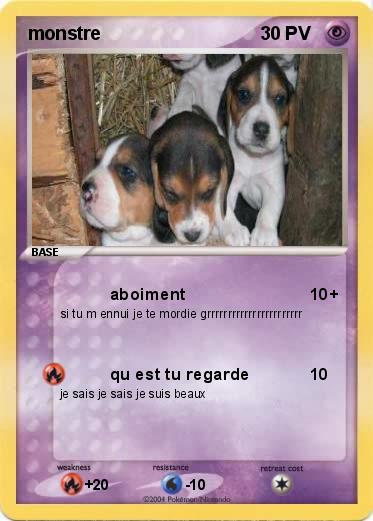 Pokemon monstre