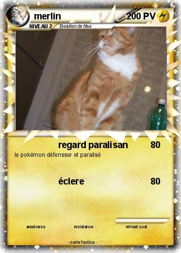 Pokemon merlin