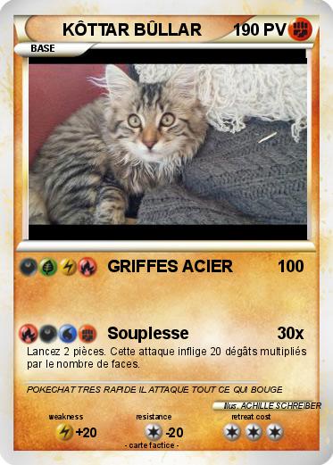 Pokemon KÔTTAR BÛLLAR