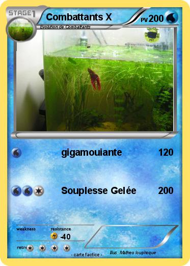 Pokemon Combattants X