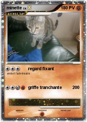 Pokemon minette