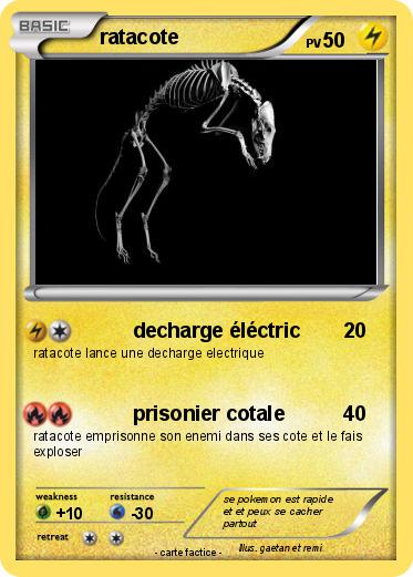 Pokemon ratacote