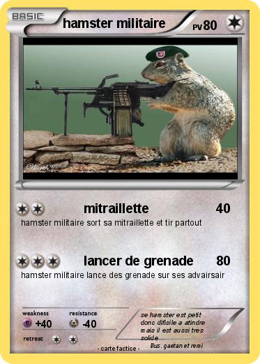 Pokemon hamster militaire