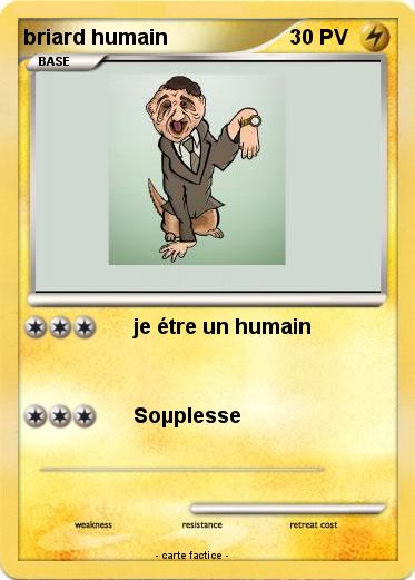 Pokemon briard humain
