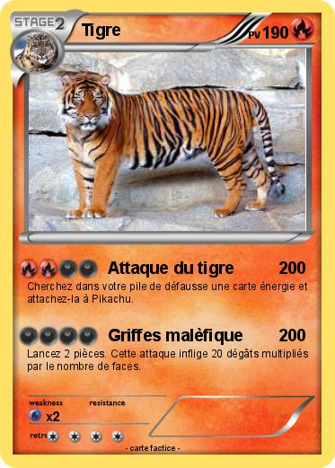 Pokemon Tigre