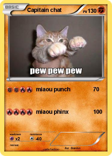 Pokemon Capitain chat