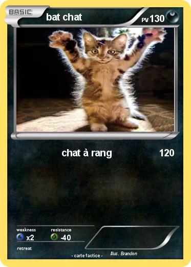 Pokemon bat chat