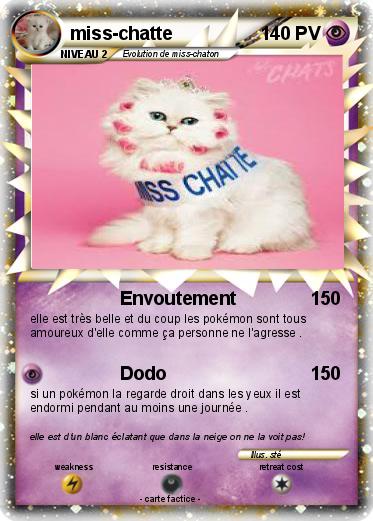 Pokemon miss-chatte