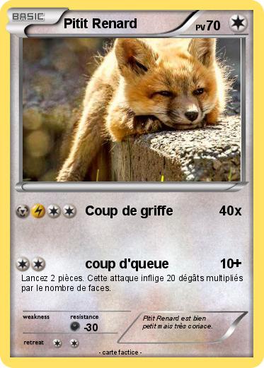 Pokemon Pitit Renard