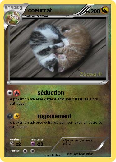 Pokemon coeurcat
