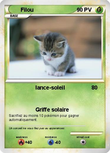 Pokemon Filou