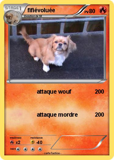 Pokemon fifiévoluée
