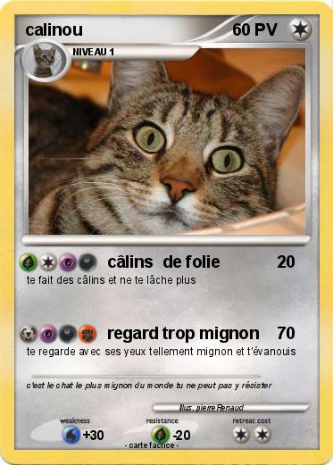 Pokemon calinou