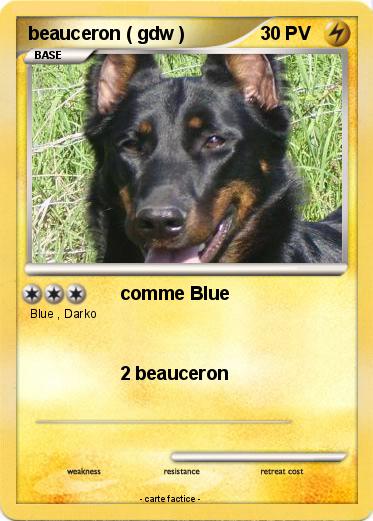 Pokemon beauceron ( gdw )
