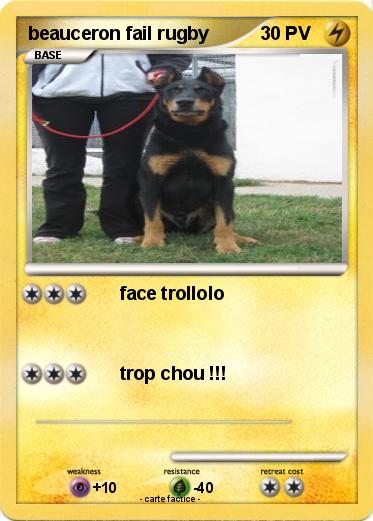 Pokemon beauceron fail rugby