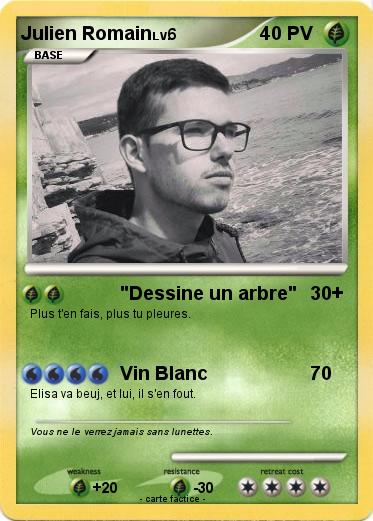 Pokemon Julien Romain