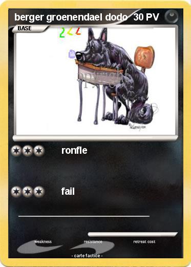 Pokemon berger groenendael dodo