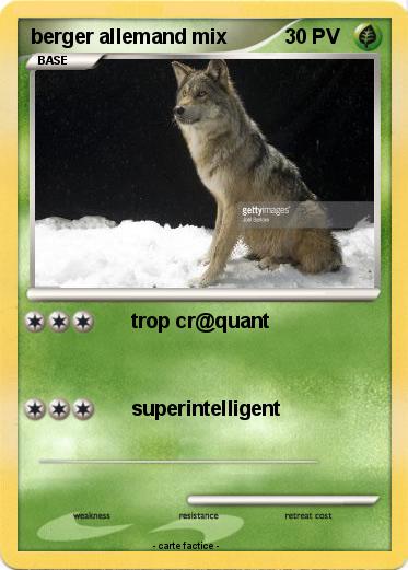 Pokemon berger allemand mix